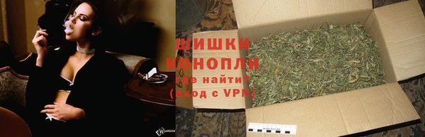 стафф Лабытнанги
