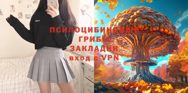 a pvp Лиски