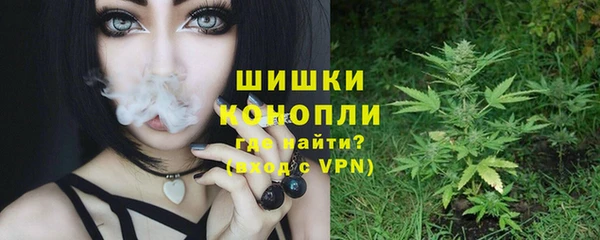 стафф Лабытнанги