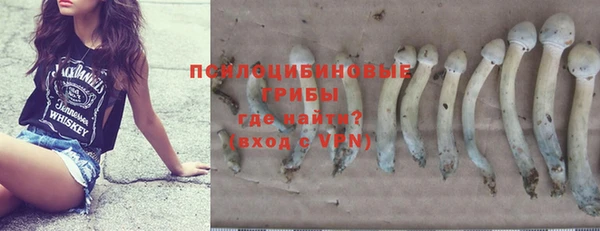 дживик Краснотурьинск