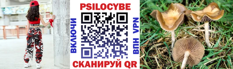Галлюциногенные грибы прущие грибы наркота Куровское